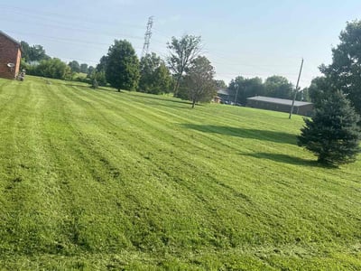 Lawn care service in Hebron Estates, 40165
