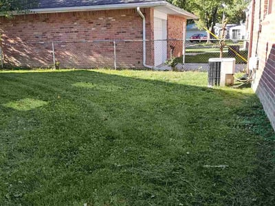 Lawn care service in Wayne, 48184