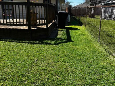 Lawn care service in Houston, 77047