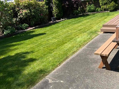 Lawn care service in Kent, 98042