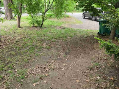 Lawn care service in Hopkins, 55343