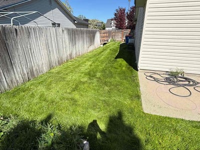 Lawn care service in Boise, 83709