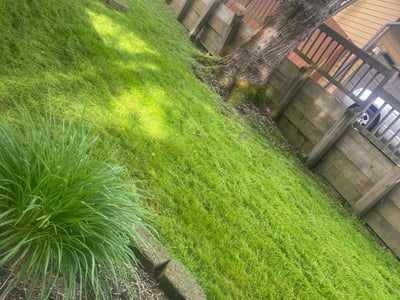 Lawn care service in Kirkland, 98034