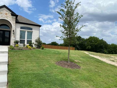 Lawn care service in DeSoto, 75115