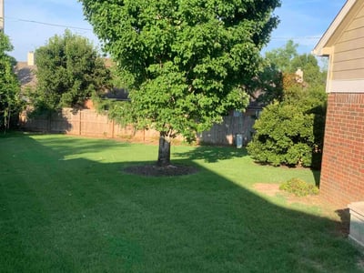 Lawn care service in Memphis, 38018