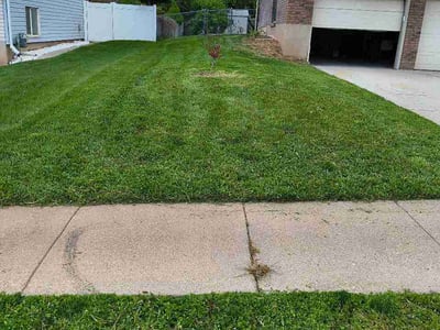 Lawn care service in Layton, 84040