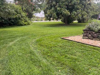 Lawn care service in Bear, 19701