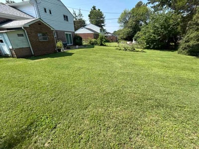 Lawn care service in Richmond, 23294