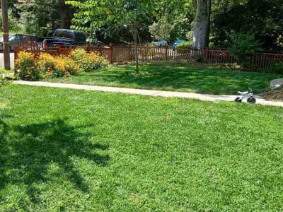 Lawn care service in Washington, 20015