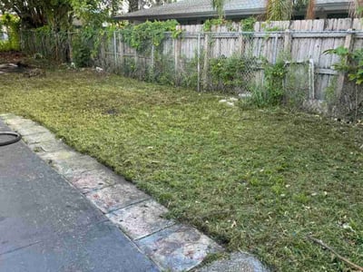 Lawn care service in Fort Lauderdale, 33311
