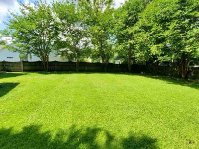 Lawn care service in Charleston, 29414
