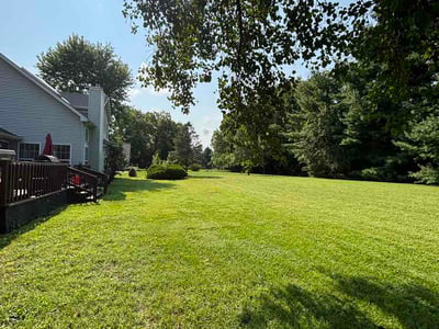 Lawn care service in Belleville, 62226