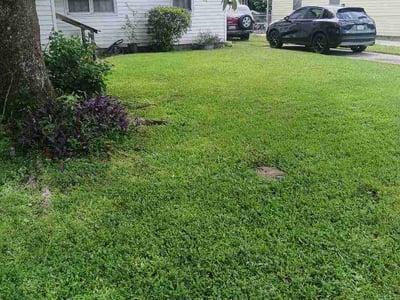 Lawn care service in Jacksonville, 32210