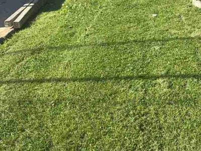 Lawn care service in Cedar Rapids, 52404