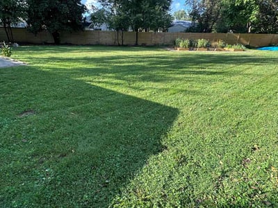 Lawn care service in Falls Church, 22042