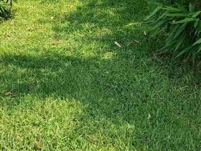 Lawn care service in Winter Park, 32792
