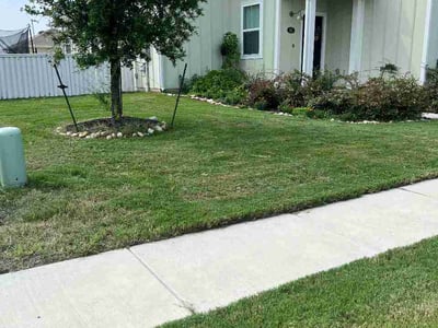 Lawn care service in Kyle, 78640