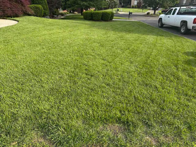 Lawn care service in Louisville, 40245