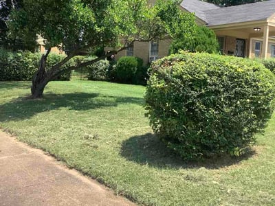 Lawn care service in Memphis, 38114
