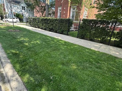 Lawn care service in Chicago, 60657