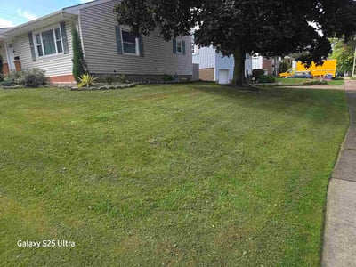 Lawn care service in Erie, 16510