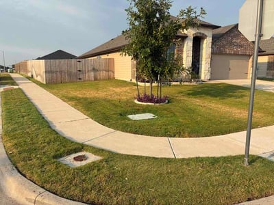 Lawn care service in Taylor, 76574