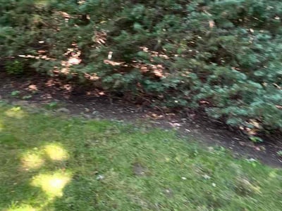Lawn care service in Old Westbury, 11568