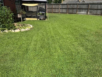 Lawn care service in Spring, 77388