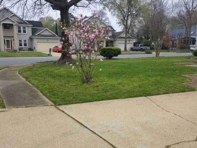 Lawn care service in Hampton, 23666