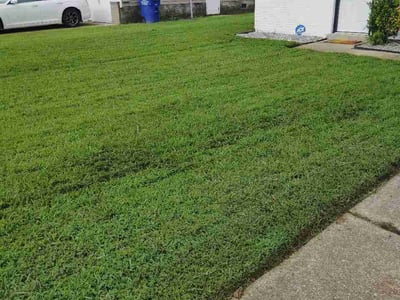 Lawn care service in Portsmouth, 23704