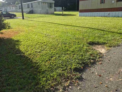Lawn care service in Zebulon, 27597