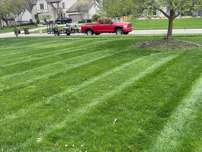 Lawn care service in Pickerington, 43147