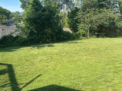 Lawn care service in Hyattsville, 20784