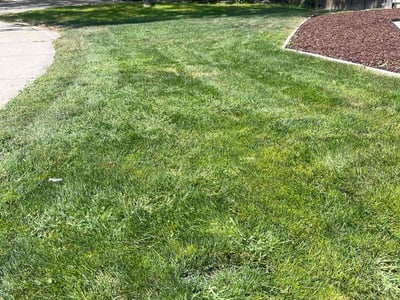 Lawn care service in Nampa, 83686