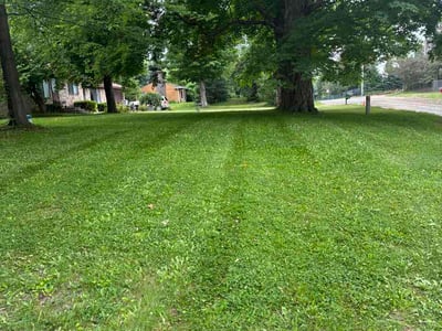 Lawn care service in South Lyon, 48178