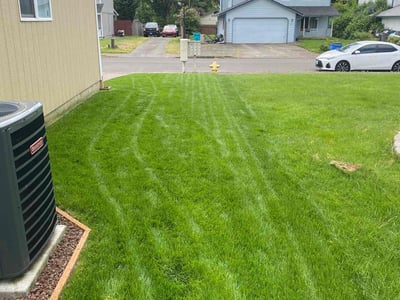 Lawn care service in Vancouver, 98686