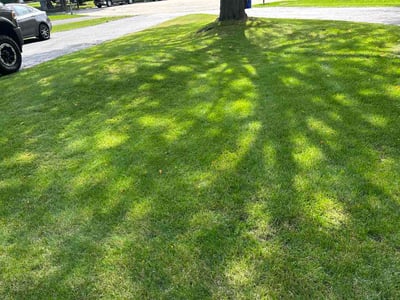 Lawn care service in Brookfield, 53005