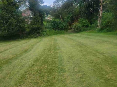 Lawn care service in Sewickley, 15143