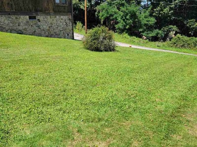 Lawn care service in Johnstown, 15905