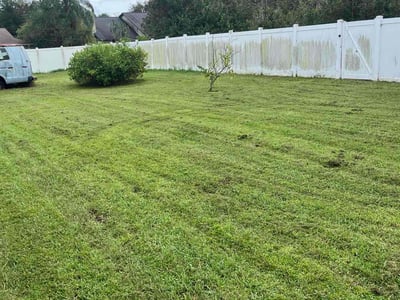 Lawn care service in Orlando, 32825