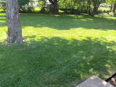Lawn care service in Raytown, 64138