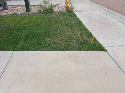 Lawn care service in Colorado Springs, 80925