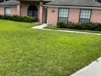 Lawn care service in Jacksonville, 32257