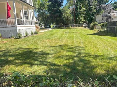 Lawn care service in Baltimore, 21216