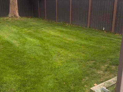 Lawn care service in Salt Lake City, 84117