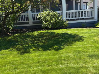 Lawn care service in Puyallup, 98371