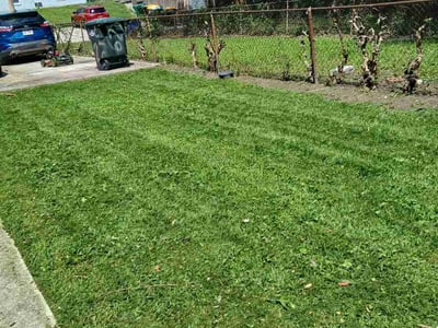 Lawn care service in Washington, 20011