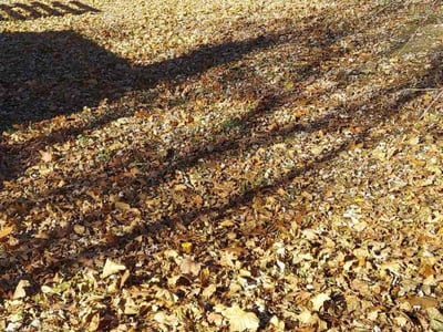 Lawn care service in Brighton, 48116