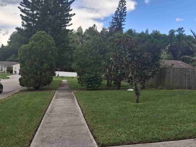Lawn care service in Tampa, 33625
