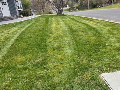 Lawn care service in , 